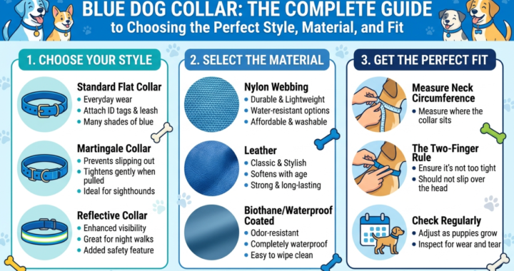 Blue Dog Collar